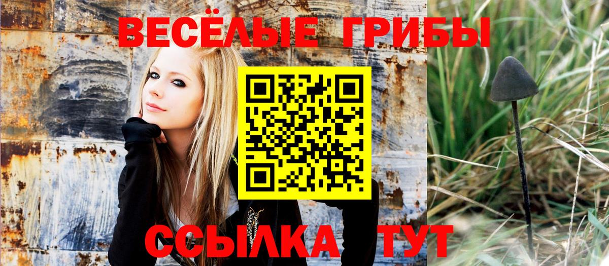 Псилоцибиновые грибы GOLDEN TEACHER Семилуки
