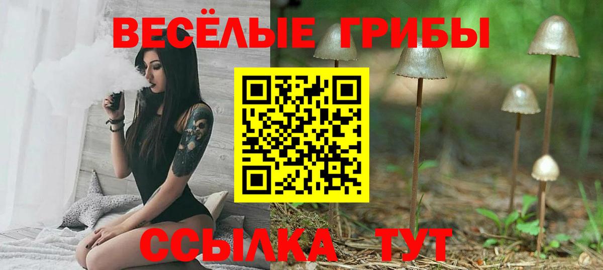 Семилуки  Псилоцибиновые грибы ЛСД  Вход с VPN 